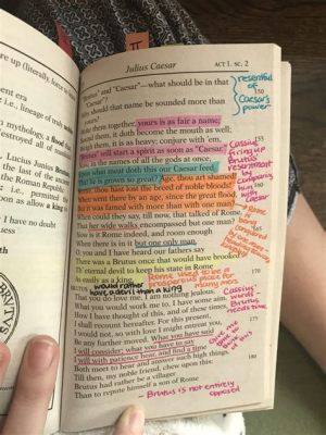 Why Annotate Books: Insights into the Enriching Practice of Book Annotation